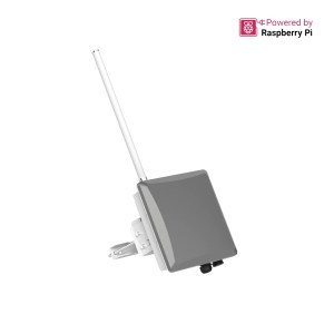 RAK7393 WisGate Connect Outdoor Gateway IoT Industriale per esterni 