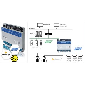 aplSwitch Field PA