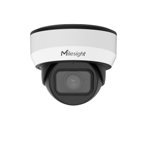  AI Motorized Dome Network Camera (MS-C8175-FPD)