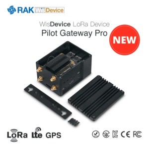 RAK7243.jpg
