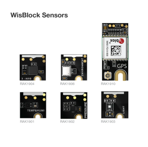 WisBlock Connected Box Tutto il WisBlock necessario per l'avvio