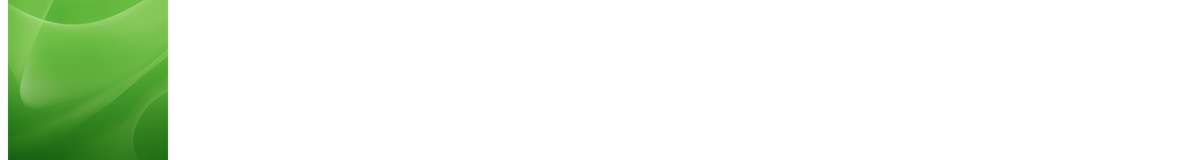 SWITCH UNMANAGED